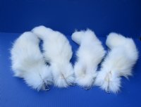 Wholesale Tanned White Fox tails with an attached ball chain for sale 11 to 14 inches long.  2 pcs @ $16.50 each; 6 pcs @ $14.50 each