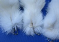 Wholesale Tanned White Fox tails with an attached ball chain for sale 11 to 14 inches long.  2 pcs @ $16.50 each; 6 pcs @ $14.50 each