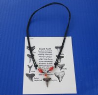 Wholesale Fossil Shark Tooth with assorted beads on adjustable black cord necklace with identification card - Packed: 12 pcs @ $2.50 each; Packed: 48 pcs @ $2.25 each