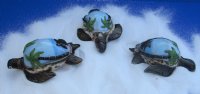 3-3/4" Painted Tiger Cowrie Shell Turtles - 10 pcs @ $2.25 each; 50 pcs @ $2.00 each
