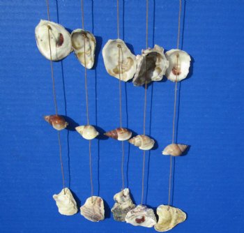 19 inches Wholesale Hanging Shell Wall Decor with oyster, green turbo and brown land snails  - Case of 50 pcs @ $2.45 each