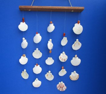 17 inch Hanging Pecten Shell Wall Decor (3 pcs, 12 pcs)
