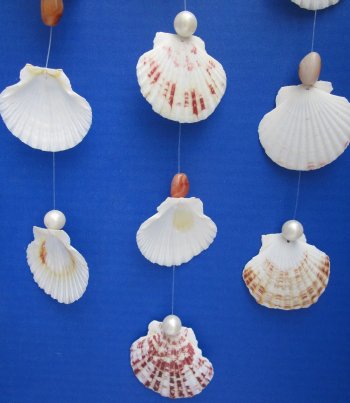 17 inch Hanging Pecten Shell Wall Decor (3 pcs, 12 pcs)