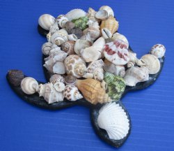 Wholesale 7-3/4 by 7-1/2 inches Seashell Wall Turtle hanger with natural shells - 2 pcs @ $4.75 each; 20 pcs @ $4.25 each
