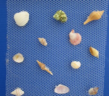 Wholesale Hanging Decorative Net with small shells 10x19 inches- 4 pcs @ $3.00 each; 20 pcs @ $2.70 each 